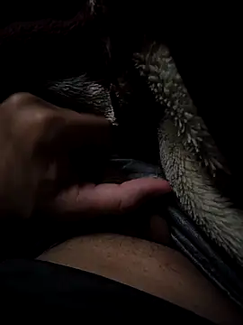 Snapshot of MoMnsi chatting on 02.25.26 MoMnsi online show from 02.25.26