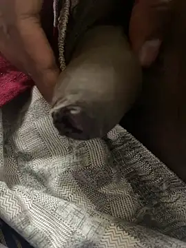 Snapshot of Magic_Spell_Tamil chatting on 02.20.26 Magic Spell Tamil online show from 02.20.26