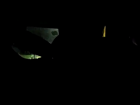 dustbunny64 online show from 06.25.26