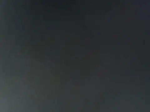 dustbunny64 online show from 08.08.26