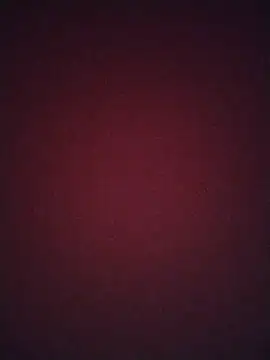 Regina 23 online show from 02.20.26