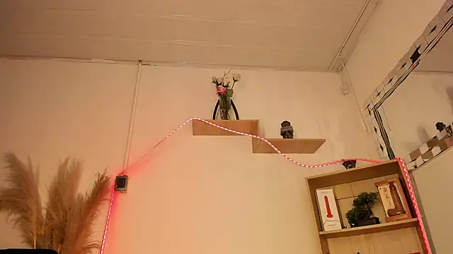 Tylla   online show from 05.09.26