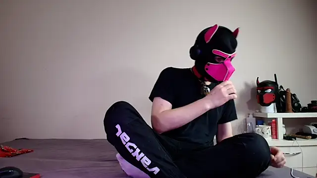 K9 GoodBoy online show from 06.18.26