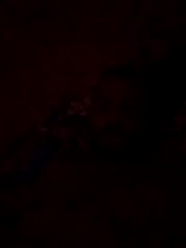 Blisiomar online show from 05.30.26