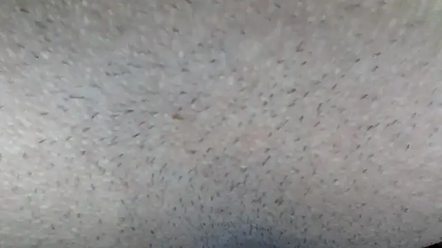 Snapshot of machodotado97 chatting on 03.15.26 machodotado97 online show from 03.15.26