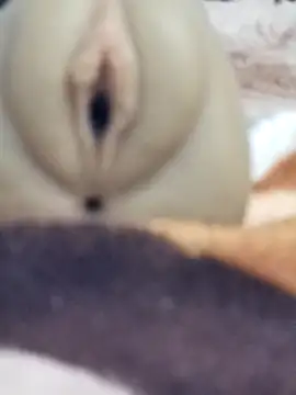 Mikecrazyhy online show from 02.25.26