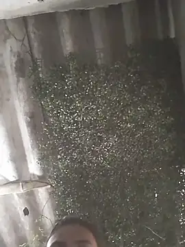 mar coral2 online show from 03.09.26