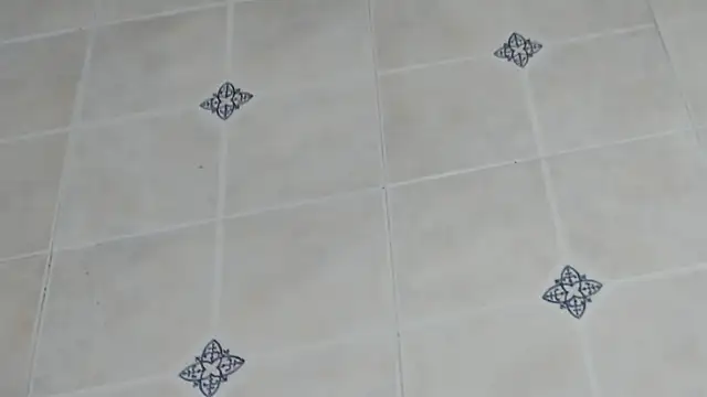 georginacouple hardsex online show from 04.25.26