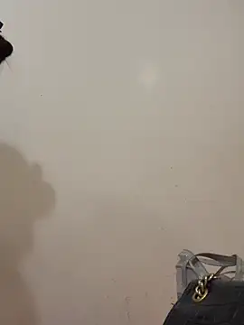 Snapshot of Dautay-mup chatting on 03.04.26 Dautay-mup online show from 03.04.26