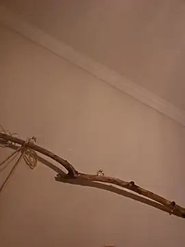 ProfessoraCasada online show from 07.29.26