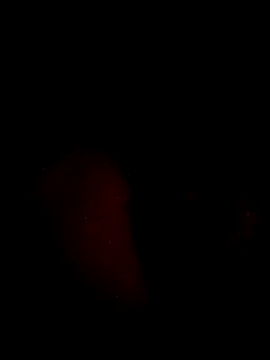 juanjonac online show from 05.18.26