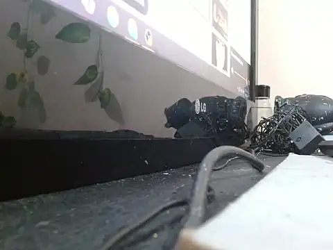 powderblu69 online show from 05.06.26