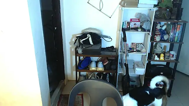 sweetasian zoe online show from 05.02.26