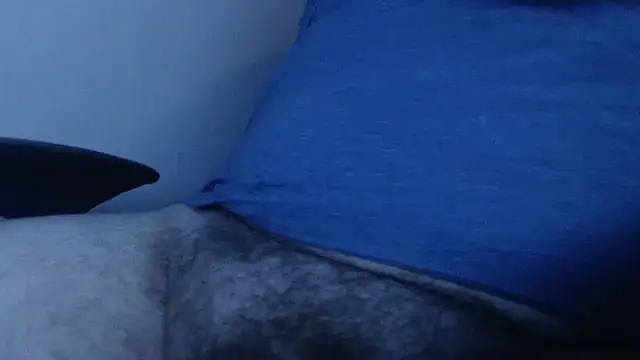 alexrivalo123 online show from 03.16.26