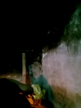 elen8800 online show from 03.01.26