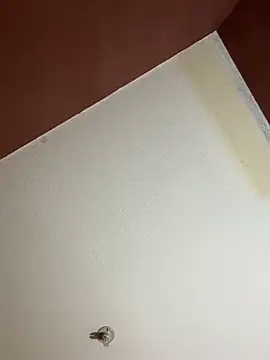 Snapshot of MoonGoddess424 chatting on 02.24.26 MoonGoddess424 online show from 02.24.26