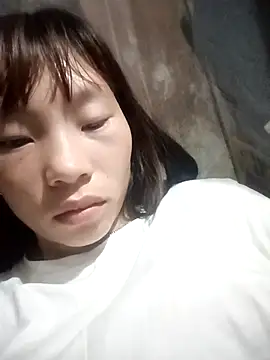 pic8800 online show from 04.29.26