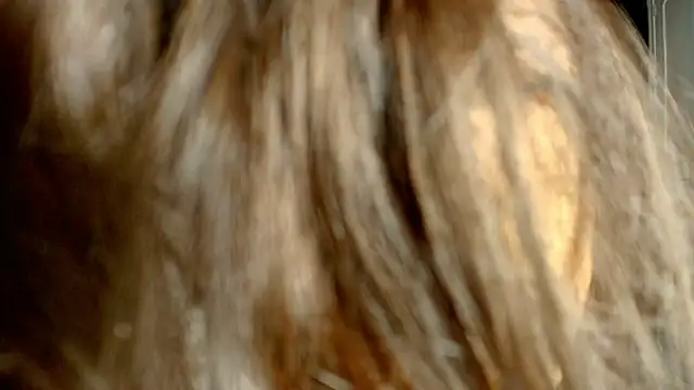 ambriosialove online show from 03.03.26