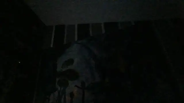 xoxchaarrxox online show from 02.26.26