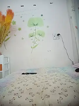 Meow cute online show from 07.06.26