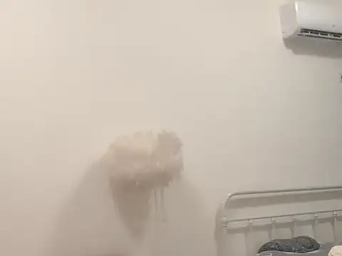 zz16888 online show from 03.16.26