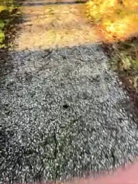 Snapshot of Sweetlauu chatting on 03.01.26 Sweetlauu online show from 03.01.26