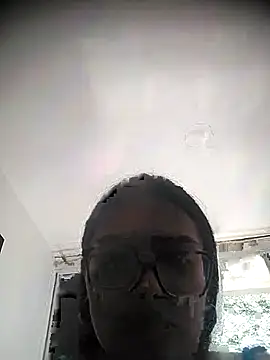 pregnant kitten01 online show from 03.11.26