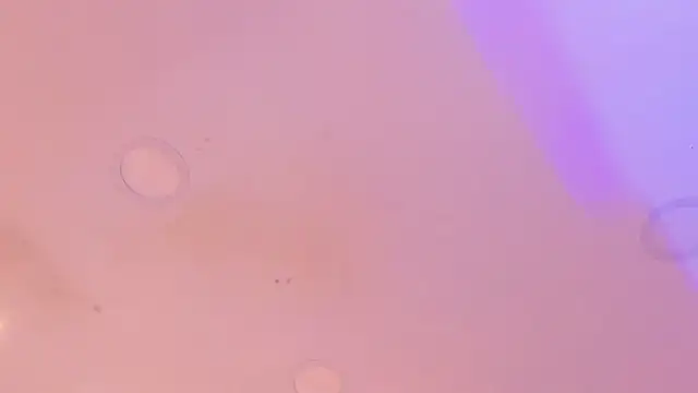 Katijis online show from 04.30.26