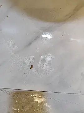 Splashyblackboard2 online show from 03.13.26