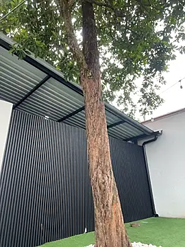 Bella-Ferrer online show from 03.14.26