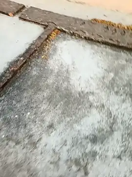 Desii rockstarr online show from 03.11.26