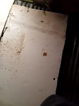 cuteboy023dick online show from 03.15.26