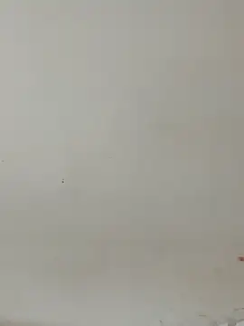 Sana-151 online show from 03.17.26