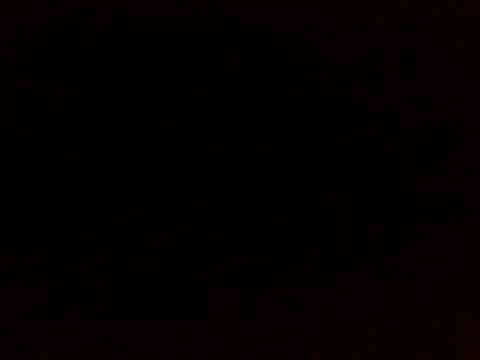 leonlive online show from 08.02.26