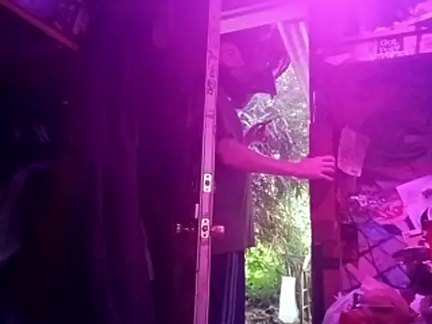nearby causual online show from 06.22.26