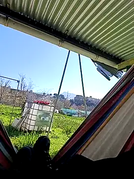 freedick93 online show from 03.17.26