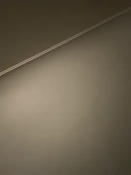 asnszn online show from 03.19.26