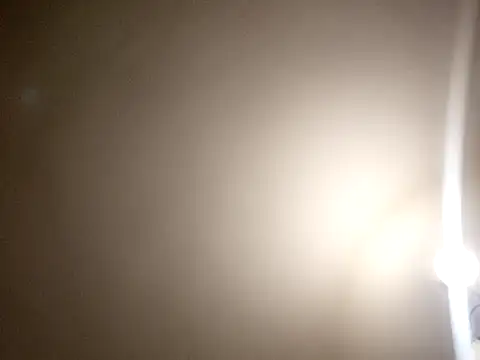 assRider21cm online show from 04.29.26