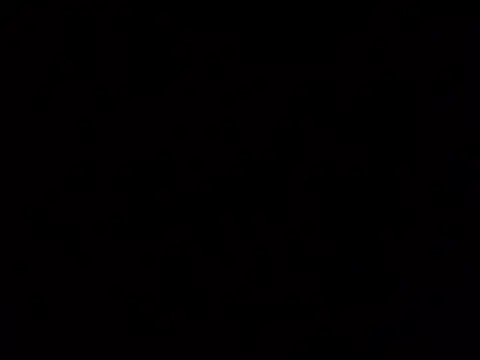 wer103 online show from 03.22.26