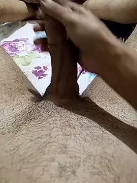 EgyptianHorse online show from 04.06.26