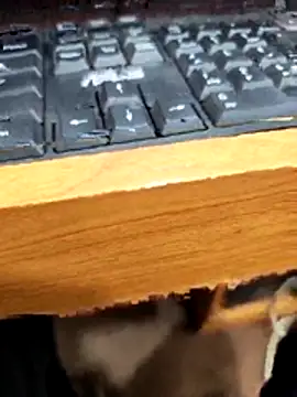 Snapshot of SLBL chatting on 03.27.26 SLBL online show from 03.27.26