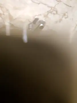 OBengaliBabuO online show from 03.16.25