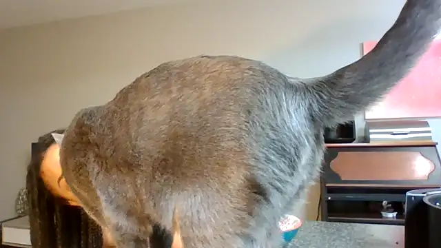 Snapshot of madzbailey chatting on 04.02.26 madzbailey online show from 04.02.26