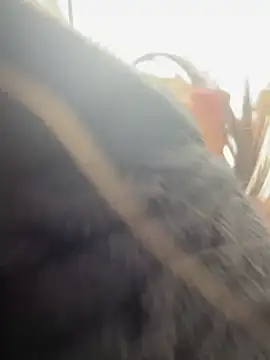 AlmaSajor  online show from 04.14.26