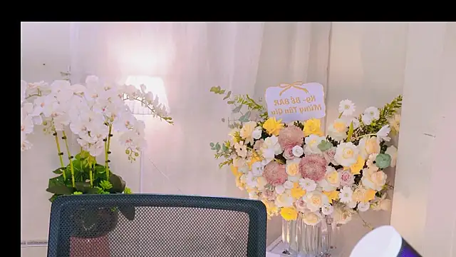 Chan Chann online show from 04.22.26