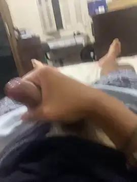 patexis online show from 04.24.26