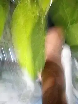 Snapshot of hot-daring chatting on 04.14.26 hot-daring online show from 04.14.26