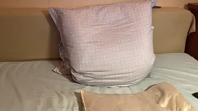 havedream online show from 04.20.26