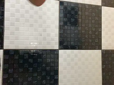 DignoDePutaria online show from 04.15.26