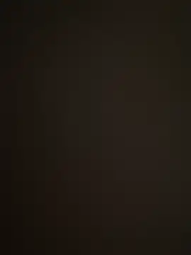 Barloo online show from 12.02.25